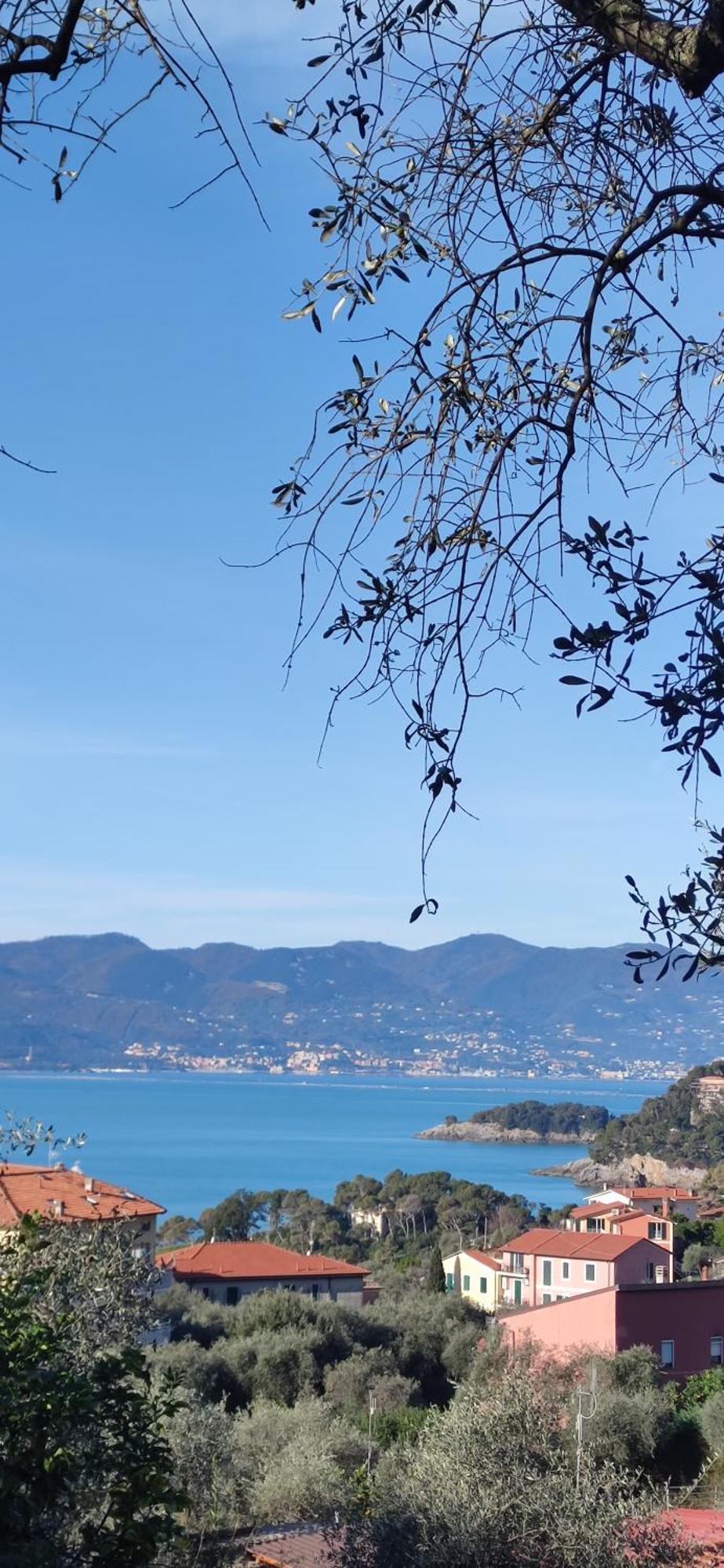 Campeggio Gianna Golfo dei Poeti Lerici Esterno foto