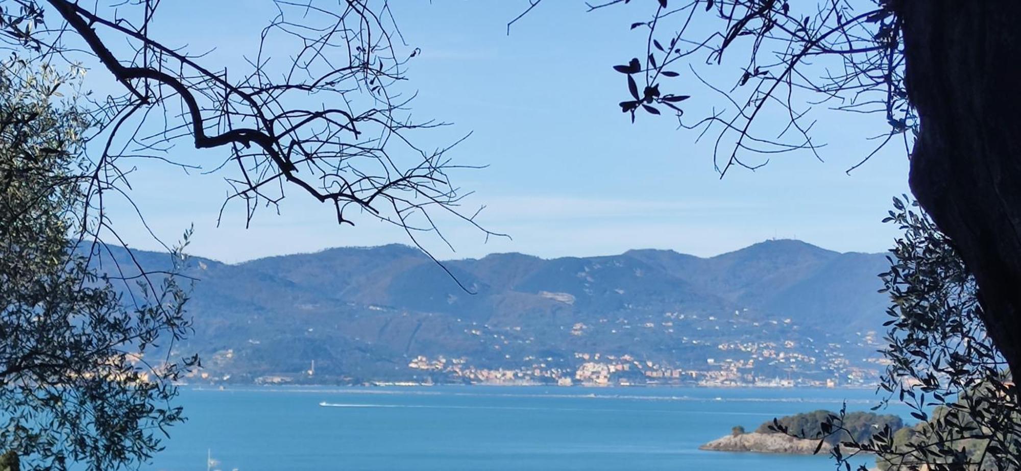 Campeggio Gianna Golfo dei Poeti Lerici Esterno foto