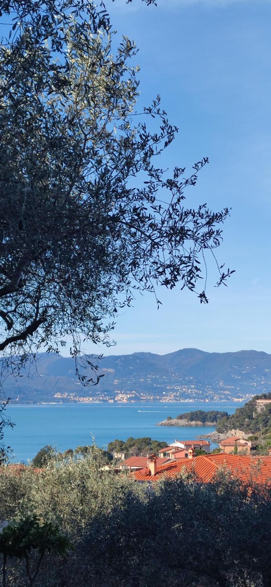Campeggio Gianna Golfo dei Poeti Lerici Esterno foto